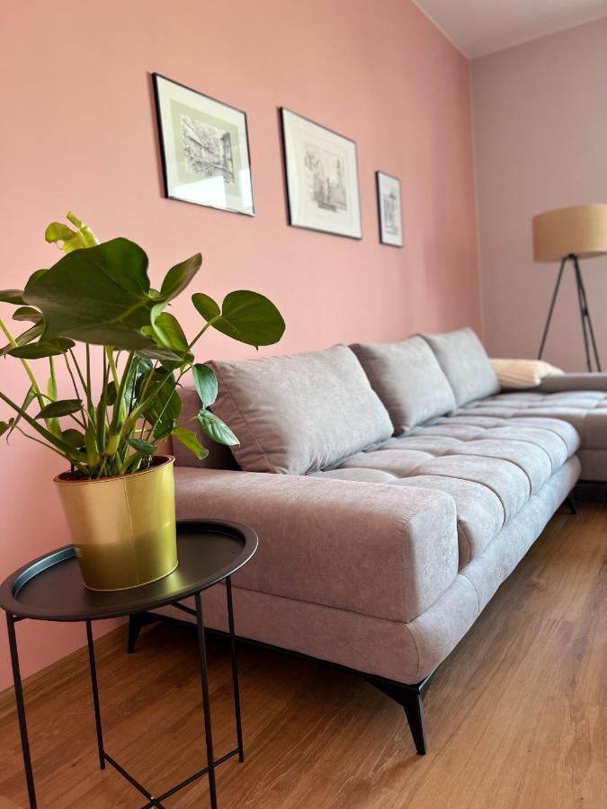 Apartamenty Rynek 7 치에신 외부 사진